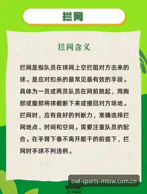 猫头鹰体育赛事常见问题：5个新手必知的使用技巧与避坑指南