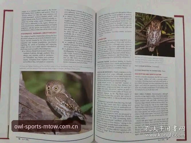 揭秘猫头鹰体育安装步骤安装教程：从零开始的完整指南